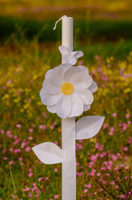 Load image into Gallery viewer, ARTILI DAISY FLOWERS- Coming Soon..
